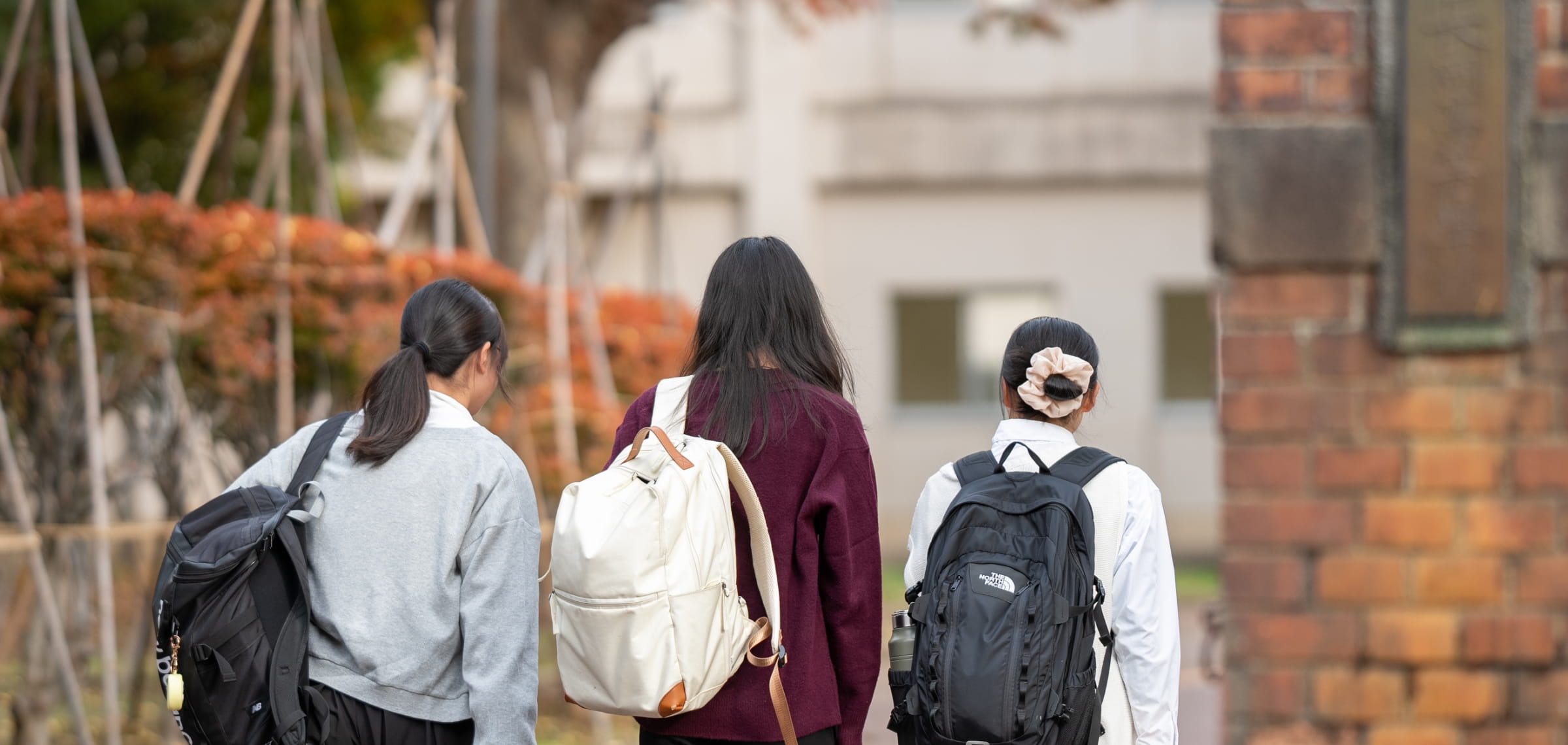 リュックを背負った３人の女子生徒の後ろ姿